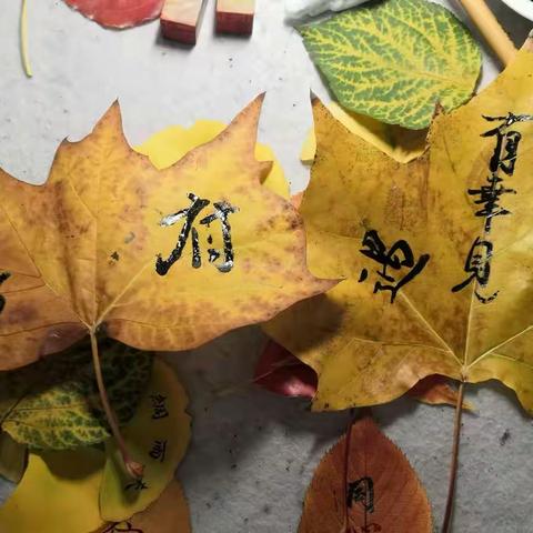 【学府杏坛】默默钻研，悄悄拔节——学府路小学“红色”备课组“万字文”