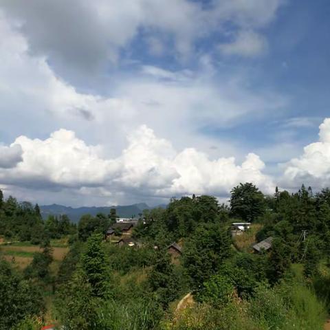 刺竹，郊纳镇百姓富、生态美的新未来
