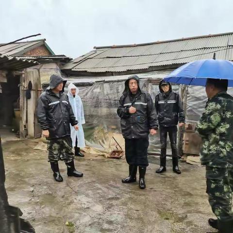 防“海神”自然资源在行动