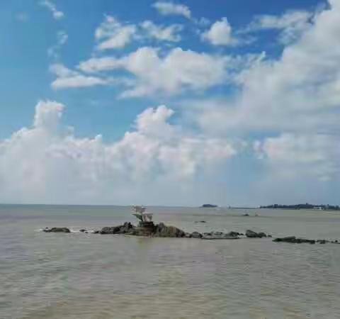 白海豚没看到，花钱进来捡贝壳😄