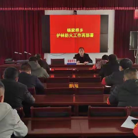 杨家桥乡森林防火再安排再部署