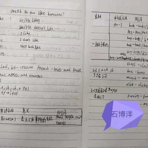 见贤而思齐  知耻而后勇——远航四班学生英语、历史笔记展示