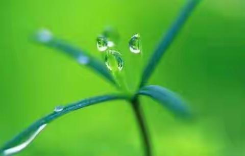 春风化雨   携手同行——前夹山小学迎来区进修学校张丽杰教研员下校指导综合课