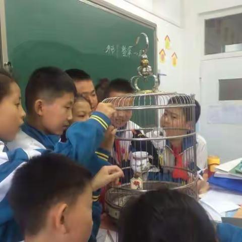 处处留心皆学问                ——记一次习作（副本）