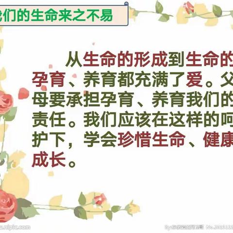 《生命最宝贵》——我们的多元育人整合课