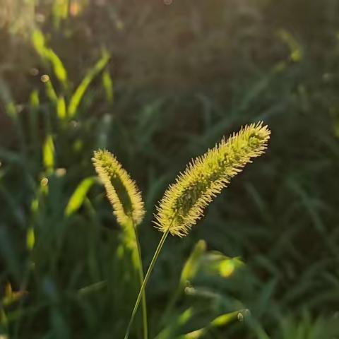 妙笔生花唱心曲