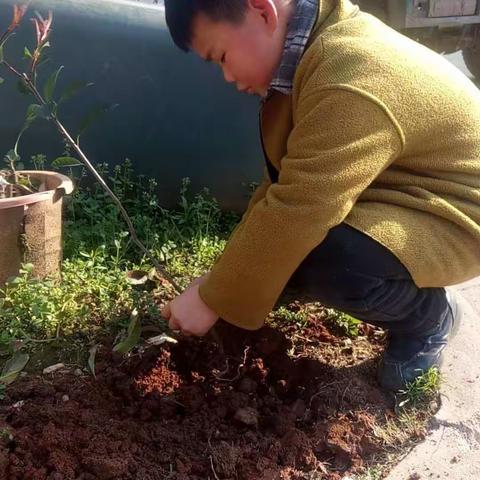 二（2）班笋芽儿的植树节，小小树木陪我长大。