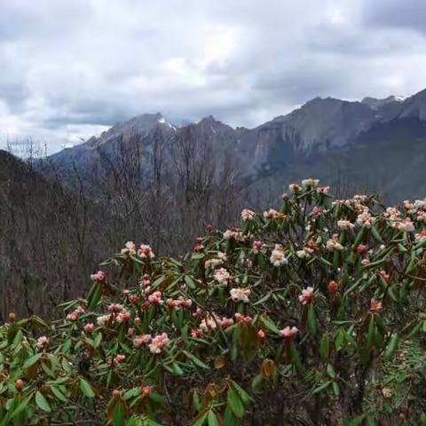 红旗小红书旅游攻略之著名景点篇