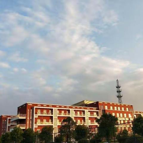 解开教师成长的密码 ---------徐州市大黄山实验小学名师大讲堂暨名师走进我校活动