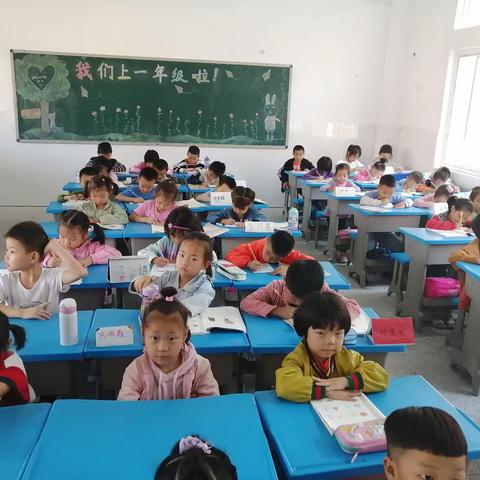 天天里的年年，秋日里的春光