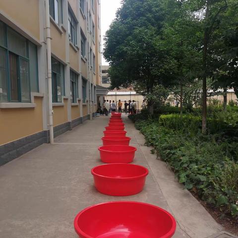 劳动光荣，懒动可耻