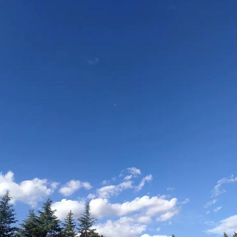 那天，你“趣”了吗？        ——汽车系班级趣味篮球比赛