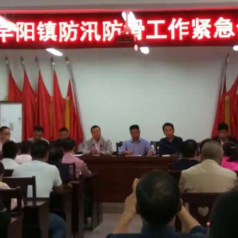 早阳镇落实防汛视频会议精神再安排再部署防汛防滑工作