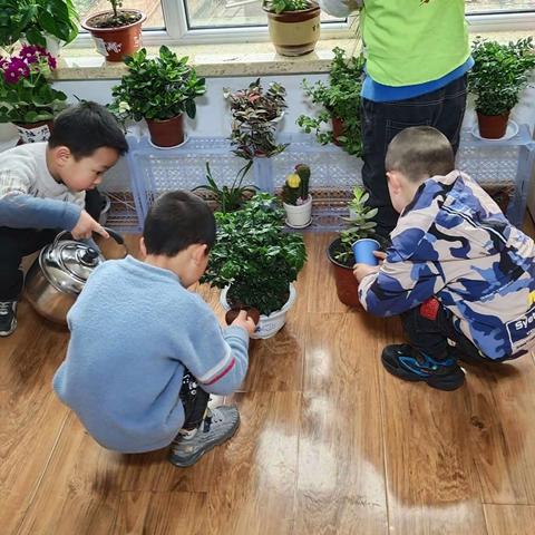 风清蝶飞舞   春暖花自香   向阳幼儿园大班植树节活动