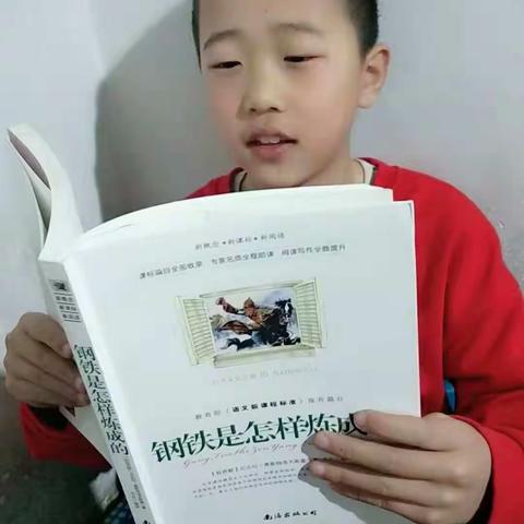 假日我与书的故事