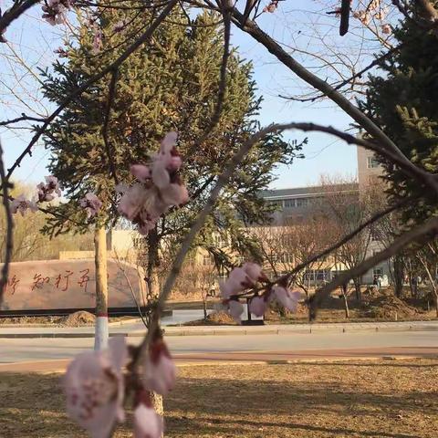 【五组日志】在最美的季节遇到最美的你