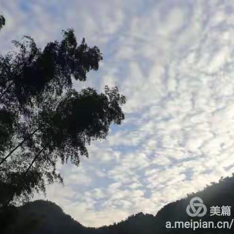 秋天里