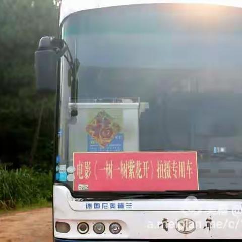 探班《一树一树紫花开》