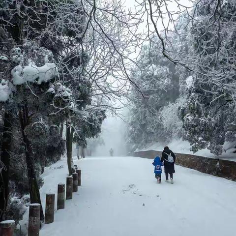 素雪成章、深情诗画——庐山的雪