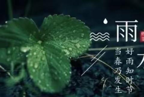 好雨知时节，当春乃发生——小一班