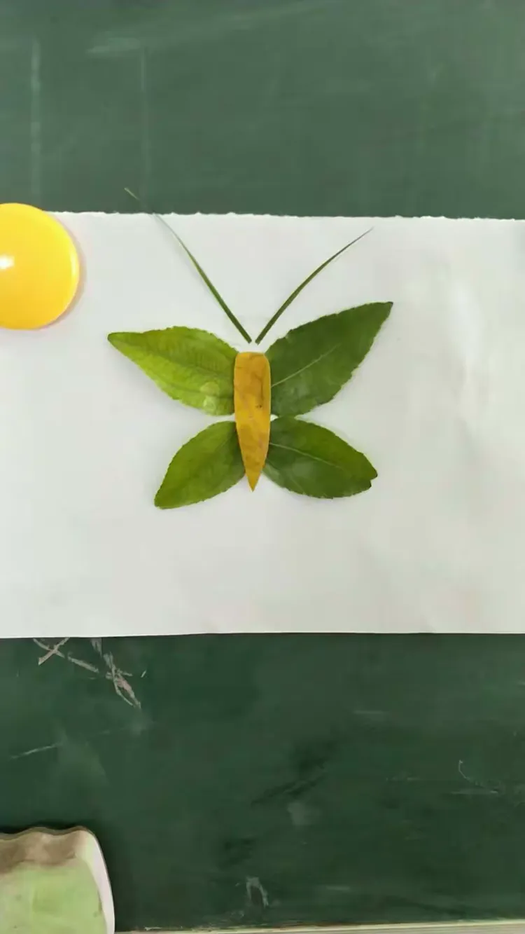 用树叶做手工了