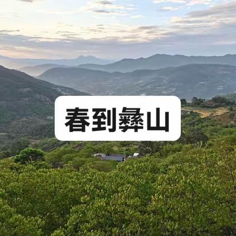 春到彝山