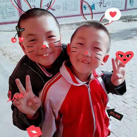 毛团小学第13周小可爱们的点滴记录