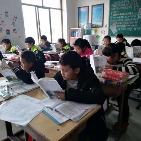 毛团小学第11周孩子们的日常表现