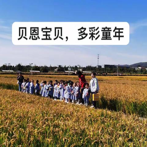 “🌈多彩童年，稻香四溢🌾”『贝恩迎西园』小一班一周快乐时光🙌🙌🙌