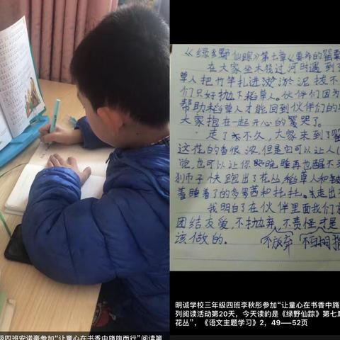 朵朵花儿向阳开——明诚学校三年四班寒假学习指导