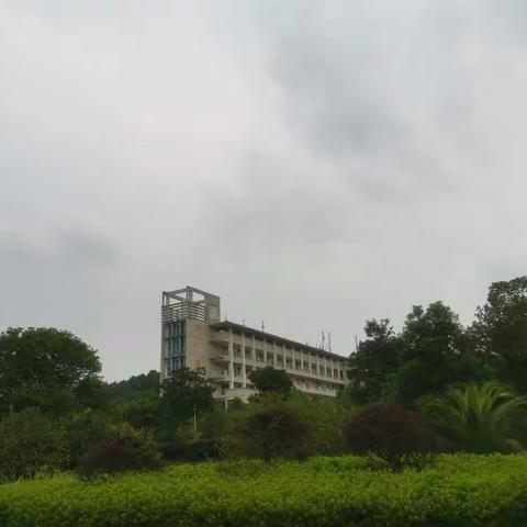 干货满满，收货多多—记岳阳经开区2020年新进教师岗前培训第二天