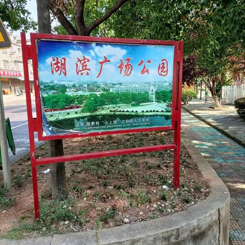 徐桥泊湖半日游