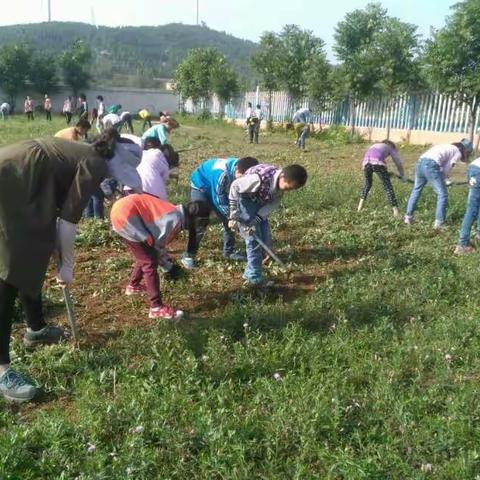 北台师生净化校园在行动