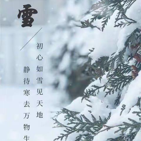 今日小雪：花雪随风不厌看，一片飞来一片寒——五年级四班实践活动