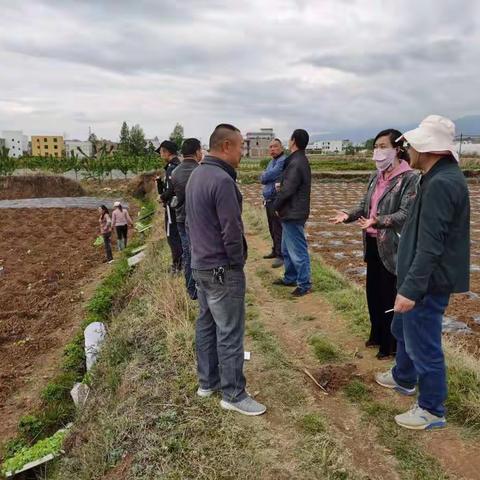 宋副经理到苏家院烟叶工作站检查指导烟区产业综合体建设情况