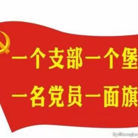 【党建引领】抗“疫”战“贫”三类支部华丽转身红色支部