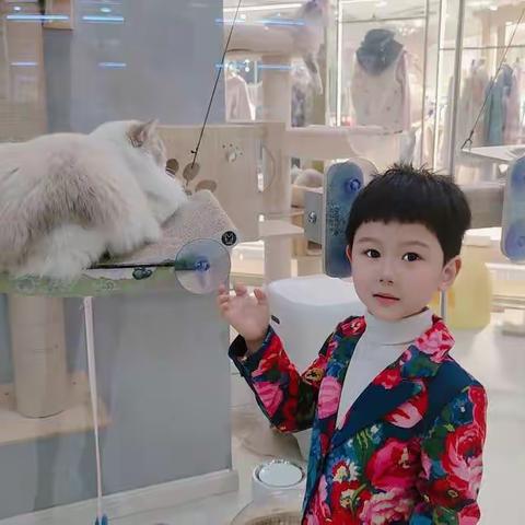 逗逗的2021—记录成长的点滴