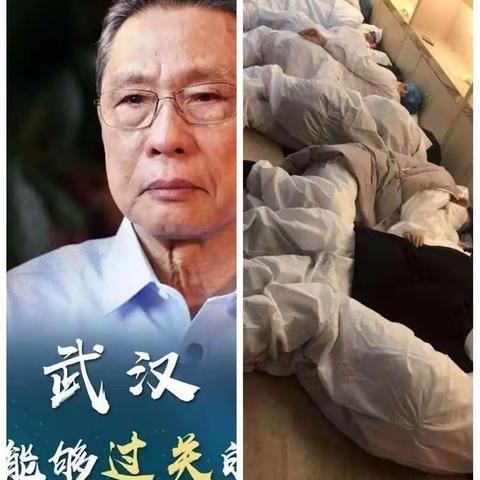 油田一小四六班李雨杉的美篇