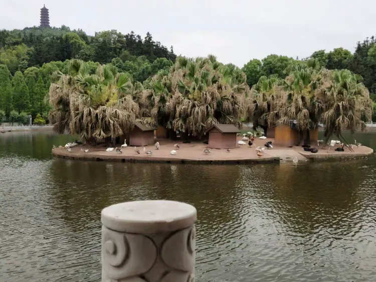 湘潭盘龙大观园一日游