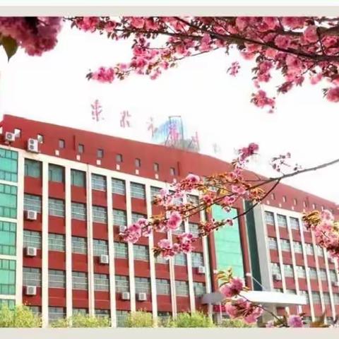 学习新课标，把握新方向---记市中区实验中学新课标培训