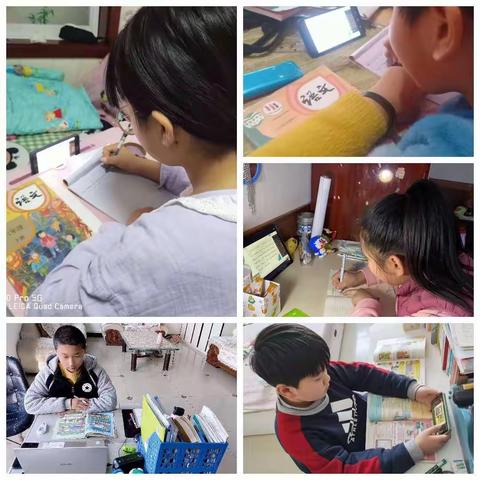 疫情下，忙而不乱的生活——岔河小学六年级德育活动展播