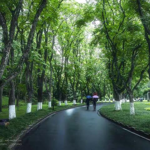 濛濛细雨中的南京