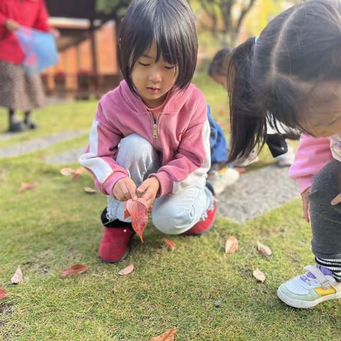 中四班十一月精彩瞬间