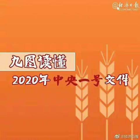 2020年一号文件