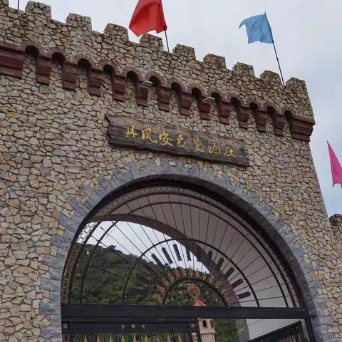 游丹凤安森曼酒庄