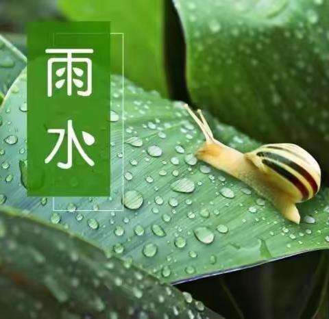 “自然童年，趣味节气” 大二班节气主题活动之——雨水