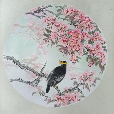 精品花鸟进阶班招生简章