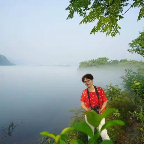 蕉窗听雨的美篇