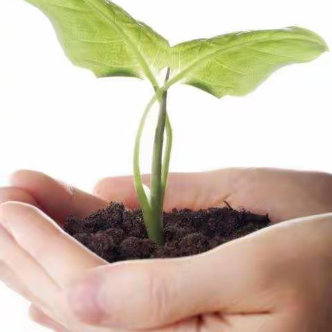 皇集乡中心学校致全乡师生及学生家长的一封信