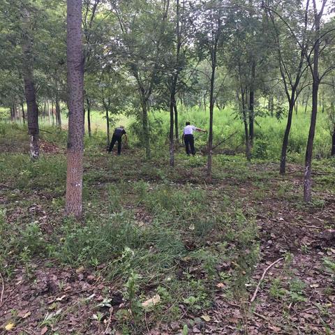 襄垣县环卫中心夏店二站2020年7月工作日志